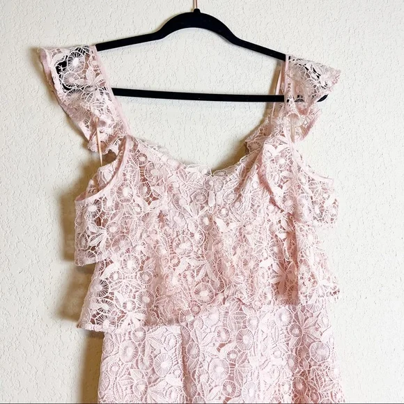 Amur Hayden Lace Midi Dress Blush Pink Size 2 NWT - Picture 4 of 11